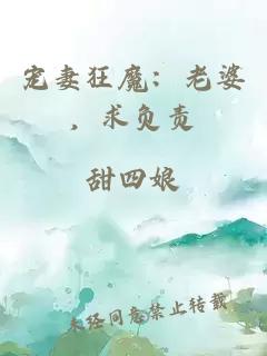 宠妻狂魔：老婆，求负责