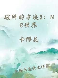 破碎的方块2：NB世界