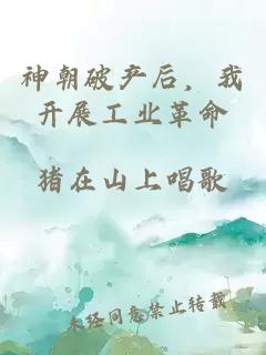 神朝破产后，我开展工业革命