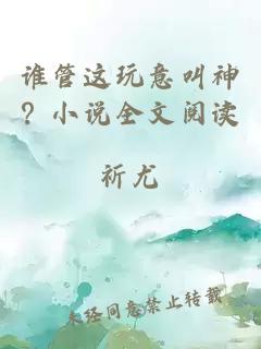 谁管这玩意叫神？小说全文阅读