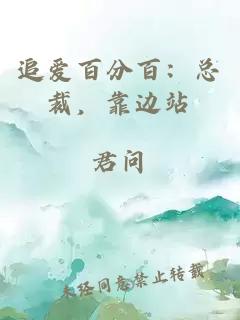 追爱百分百：总裁，靠边站