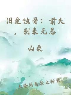 旧爱蚀骨：前夫，别来无恙